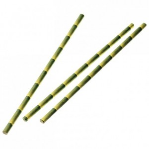 Paille papier bambou (lot de 250)