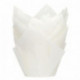 House of Marie Muffin Cups Tulip White pk/36