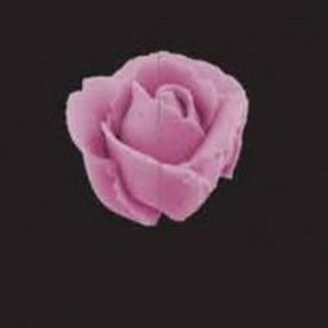 Douille JEM Giant Rose / Petal / Ruffle Nozzle 127D