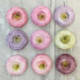 Karen Davies Silicone Mould - Buttercream Flowers