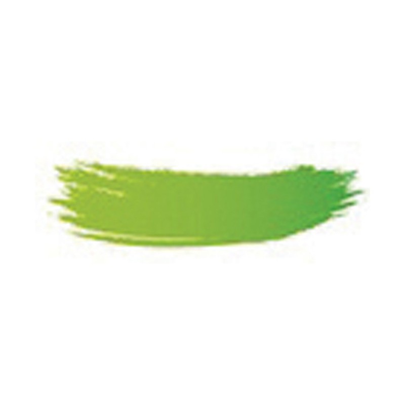 Colorant alimentaire Vert 25 g poudre hydrosoluble Matfer