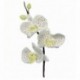 PME Moth Orchid Cutter pk/3