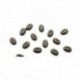 Chocolate mould polycarbonate 104 coffee beans