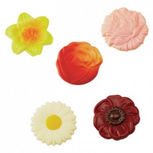 Chocolate mould polycarbonate 10 assorted flowers