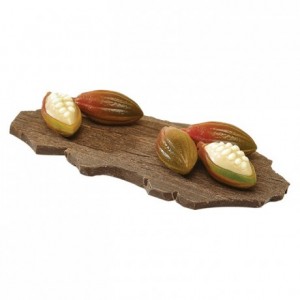 Chocolate pod in polycarbonate 275 x 205 mm (2 x 12 moulds)