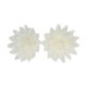 Edible Wafer Flowers FunCakes medium white aster 5.5 cm 14 pieces