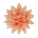 Fleurs comestibles en azyme FunCakes grande pivoine orange 12,5 cm 1 pièce