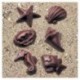 Mould chocolate seafood "Fruits de mer" 6 shapes