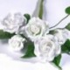 Renshaw Flower & Modelling Paste White 250g