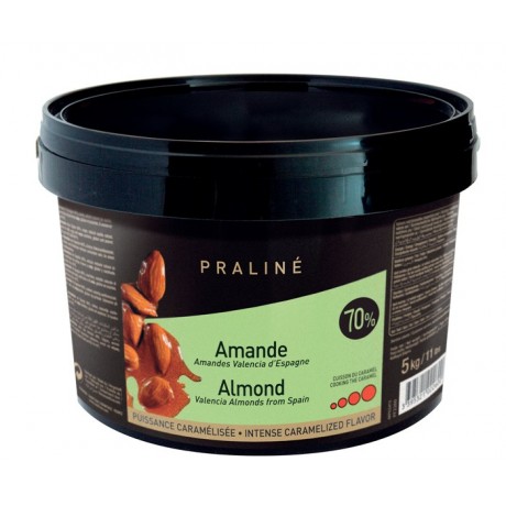 Almond Fruity Praliné 70% nuts 5 kg