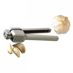 Biopress garlic and onion press