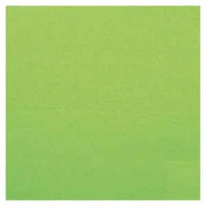 Serviette double point pistache 38 x 38 cm (lot de 900)