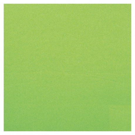 Serviette Celi-ouate pistache 38 x 38 cm (lot de 900)