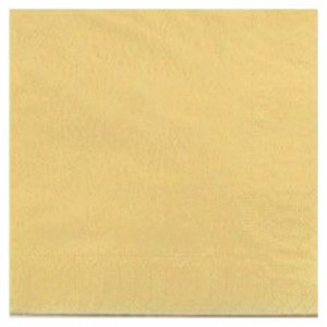 Cellulose ivory napkin 33 x 33 cm (1200 pcs)