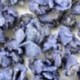 Violettes entières cristallisées 83 g