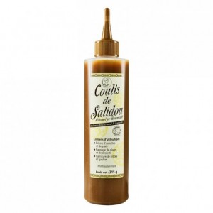 Salted butter caramel coulis Salidou 315 g