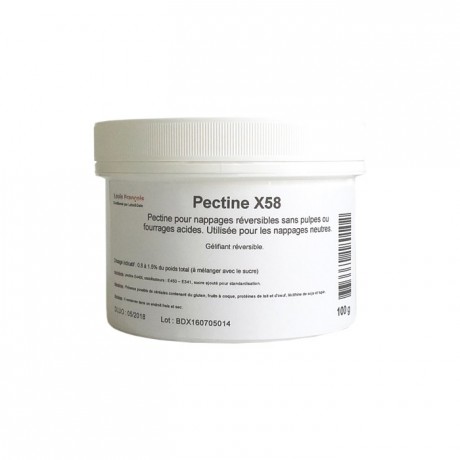 Pectin X58 100 g