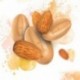 Almond Inspiration nuts couverture beans 500 g