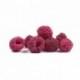 Lyophilized whole raspberry Sosa 75 g