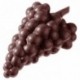 Moule grappes de raisin en polycarbonate pour chocolat