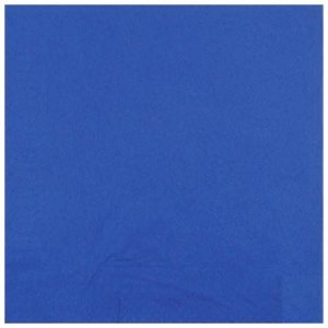 Serviette ouate marine 2 plis 40 x 40 cm (lot de 2400)